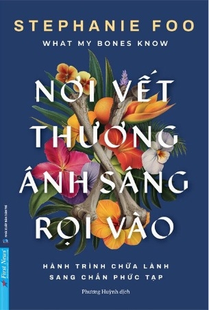 Nơi Vết Thương Ánh Sáng Rọi Vào - Stephanie Foo