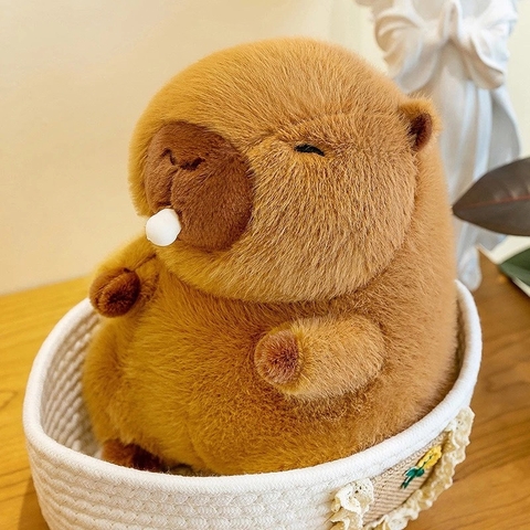 Gấu bông cappybara