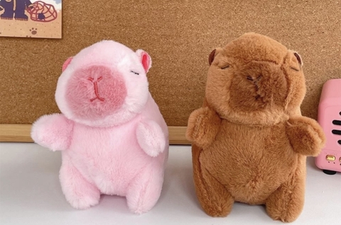 Gấu bông cappybara