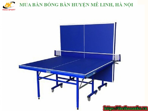 MUA BÀN BÓNG BÀN HUYỆN MÊ LINH