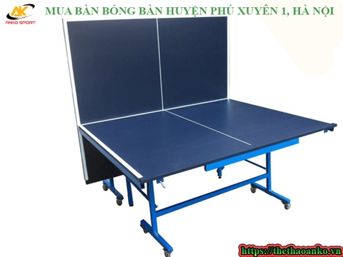 MUA BÀN BÓNG BÀN HUYỆN PHÚ XUYÊN 1