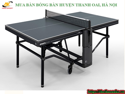 MUA BÀN BÓNG BÀN HUYỆN THANH OAI 2