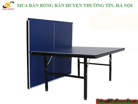 MUA BÀN BÓNG BÀN HUYỆN THƯỜNG TÍN