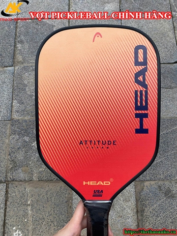 Tại sao ngươì mới chơi nên mua vợt pickleball chính hãng để chơi?
