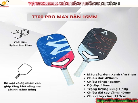 VỢT PICKLEBALL CHÍNH HÃNG PHƯỜNG ĐỊNH CÔNG 4