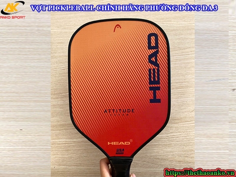VỢT PICKLEBALL CHÍNH HÃNG PHƯỜNG ĐỐNG ĐA 3