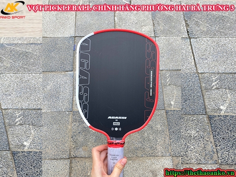 VỢT PICKLEBALL CHÍNH HÃNG PHƯỜNG HAI BÀ TRƯNG 3