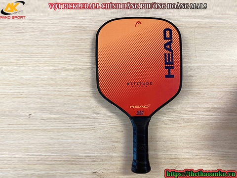 VỢT PICKLEBALL CHÍNH HÃNG PHƯỜNG HOÀNG MAI 5