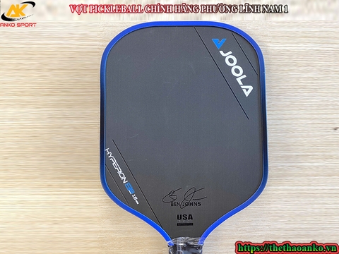 VỢT PICKLEBALL CHÍNH HÃNG PHƯỜNG LĨNH NAM 1