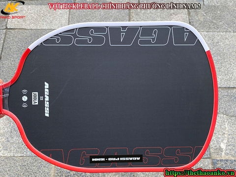VỢT PICKLEBALL CHÍNH HÃNG PHƯỜNG LĨNH NAM 2