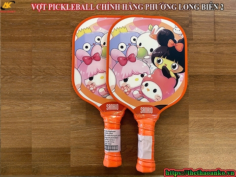 VỢT PICKLEBALL CHÍNH HÃNG PHƯỜNG LONG BIÊN 2