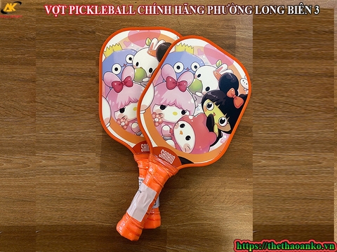 VỢT PICKLEBALL CHÍNH HÃNG PHƯỜNG LONG BIÊN 3
