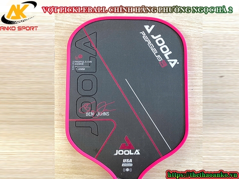 VỢT PICKLEBALL CHÍNH HÃNG PHƯỜNG NGỌC HÀ 2
