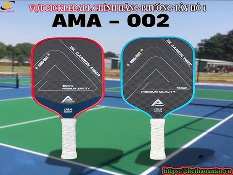 VỢT PICKLEBALL CHÍNH HÃNG PHƯỜNG TÂY HỒ 1