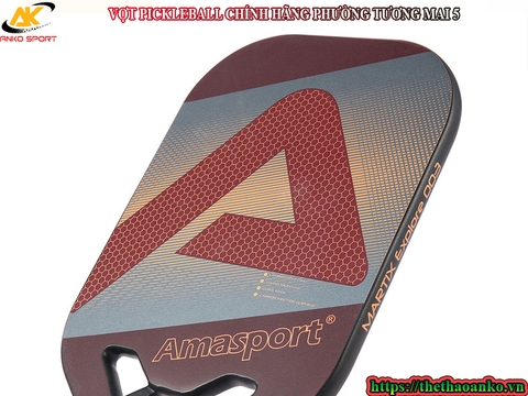 VỢT PICKLEBALL CHÍNH HÃNG PHƯỜNG TƯƠNG MAI 5