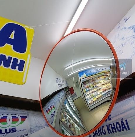 Gương cầu lồi Polymer D300 Indoor - Gương cầu giao thông