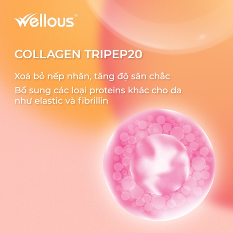 Collagen Tripeptide - Bí Quyết Cho Làn Da Hoàn Hảo và Khỏe Mạnh