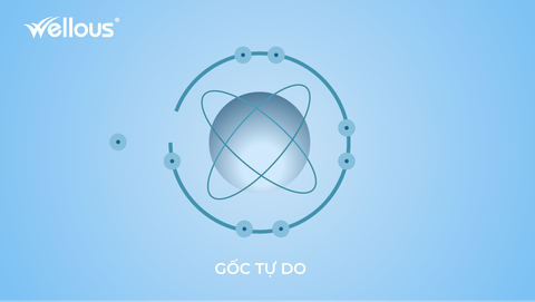 Gốc tự do: Kẻ thù tàng hình của sức khỏe