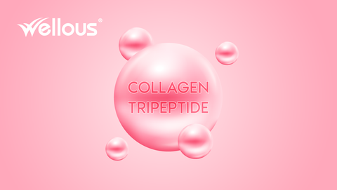 3 Acid amin có trong Collagen Tripeptide và tác dụng của chúng