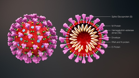 Virus đang lây lan ở Trung Quốc nguy hiểm thế nào