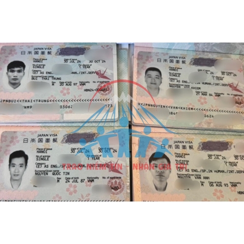 [ BẢN TIN HIKARI ]