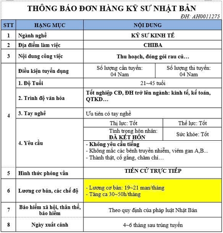 ĐƠN HÀNG KỸ SƯ KINH TẾ NHẬT BẢN