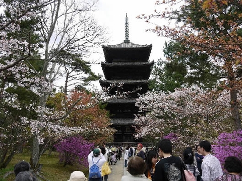 Quy trình du học Nhật Bản 2023