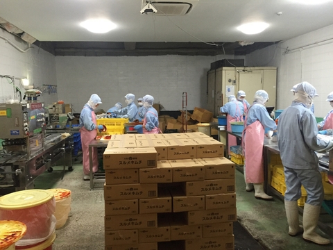 Nên chọn ngành nào khi đi Du học Nhật Bản