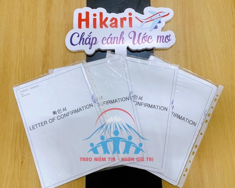 [ BẢN TIN HIKARI ]