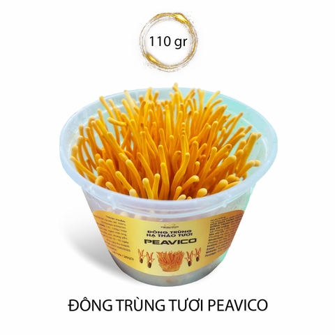 Đông Trùng Tươi PEAVICO (hộp 110g)