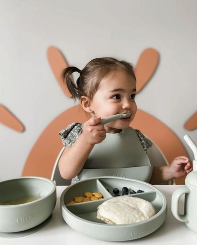 Tại sao các mẹ bỉm hiện đại chọn máy Hanil HBF-300 để nấu cháo, hấp rau cho bé?