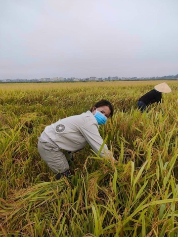 Áo quạt điều hòa có mũ (có thể tháo rời)