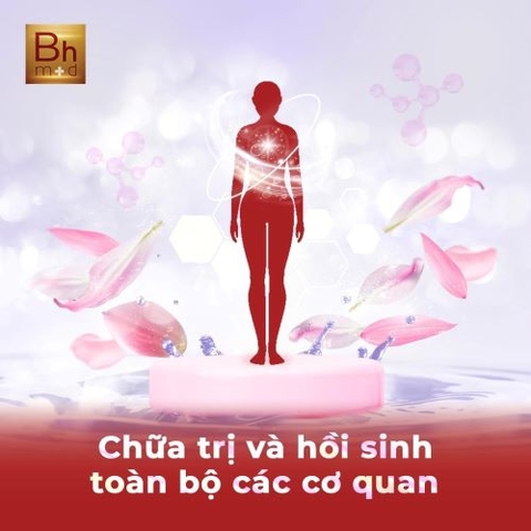 Tế bào sinh học đông lạnh của BHMED