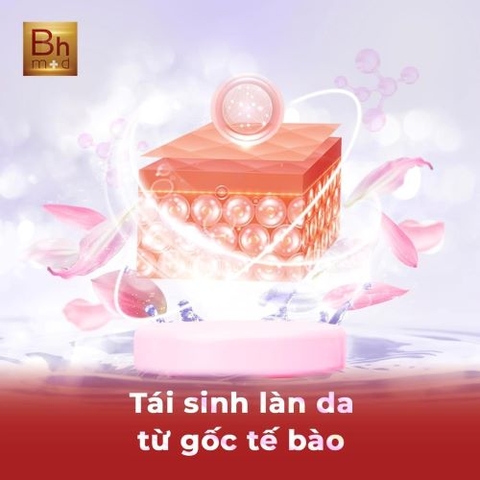 Tế bào sinh học đông lạnh của BHMED