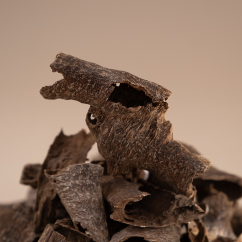 Trầm Hương Miếng Vụn Tự Nhiên Mùi Hương Sưu Tầm | Trầm Hương Ân Vũ - Hương Thơm Chữa Lành