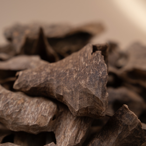 Trầm Hương Miếng Vụn Tự Nhiên Mùi Hương Sưu Tầm | Trầm Hương Ân Vũ - Hương Thơm Chữa Lành