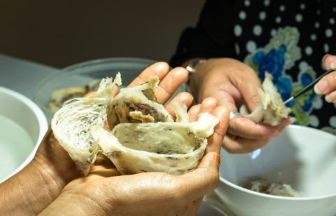 Tiết lộ những thông tin quan trọng về Yến sào mà có khi bạn chưa biết