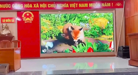 Lắp đặt màn hình P2 tại ỦY BAN NHÂN DÂN XÃ ĐIỀN XÁ, QUẢNG NINH