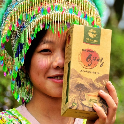 Shanam | Vietnam ancient snow shan tea