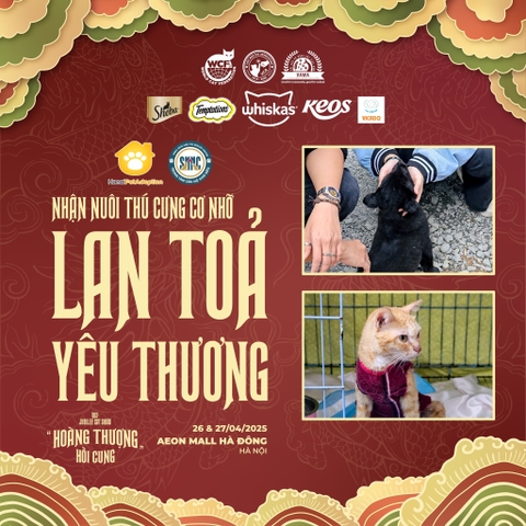LAN TOẢ YÊU THƯƠNG – HỒI CUNG CHO NHỮNG BÉ CƠ NHỠ