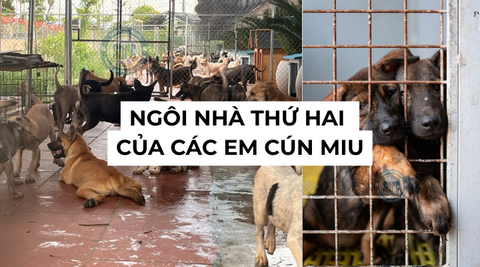 Tin mới: Sân đã có thêm ngôi nhà thứ hai tại khu vực Hòa Lạc
