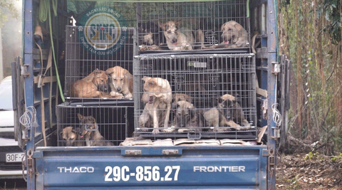 Hành chính đến với ngôi nhà thứ hai chính thức bắt đầu