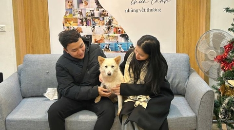 Khám phá Sự kiện Nhận nuôi Chó Mèo tại Linh Đàm: Hành trình của tình bạn mới!