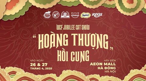 Cuộc thi mèo đẹp cấp quốc tế