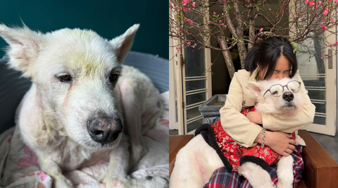 Sam Hà Giang - hành trình lột xác ngoạn mục