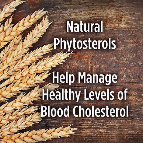 Viên uống giảm cholesterol tinh chất men gạo đỏ Weider Red Yeast Rice Plus 1200 mg, 240 viên