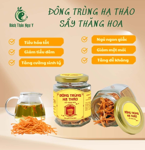 ĐÔNG TRÙNG HẠ THẢO SẤY THĂNG HOA