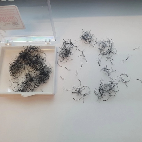 Mi Fan Camellia 3D ( L / 0.05-007 )