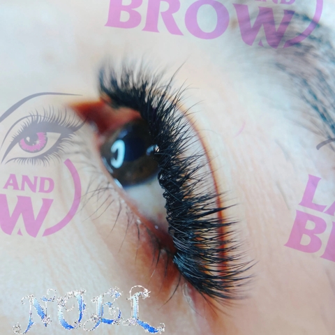 Mi Fan Camellia 3D ( L / 0.05-007 )