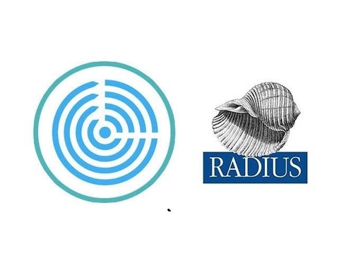 Radius Server Là Gì? Hướng Dẫn Cấu Hình Và Sự Hoạt Động Của Radius Server